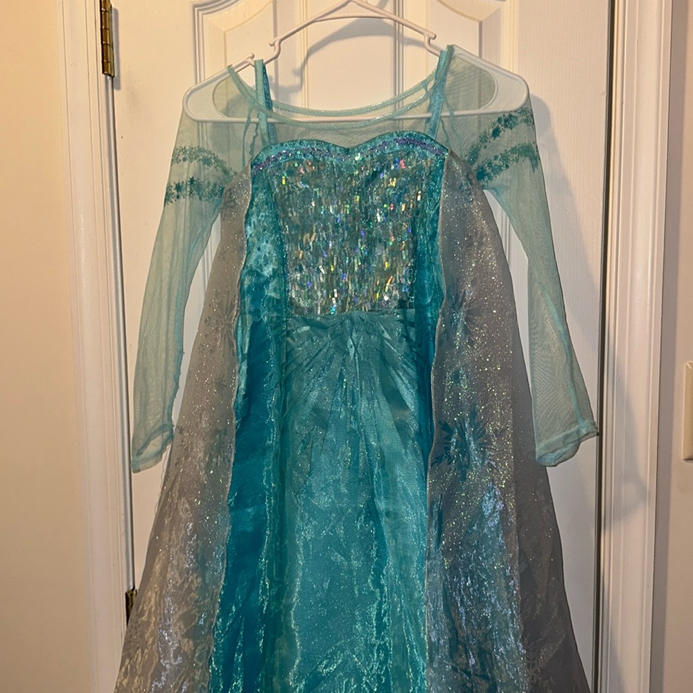 Disney Elsa costume